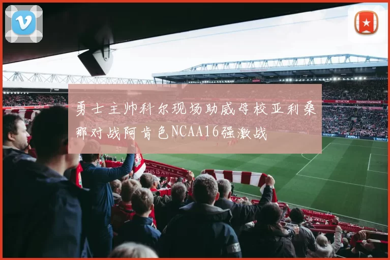 勇士主帅科尔现场助威母校亚利桑那对战阿肯色NCAA16强激战