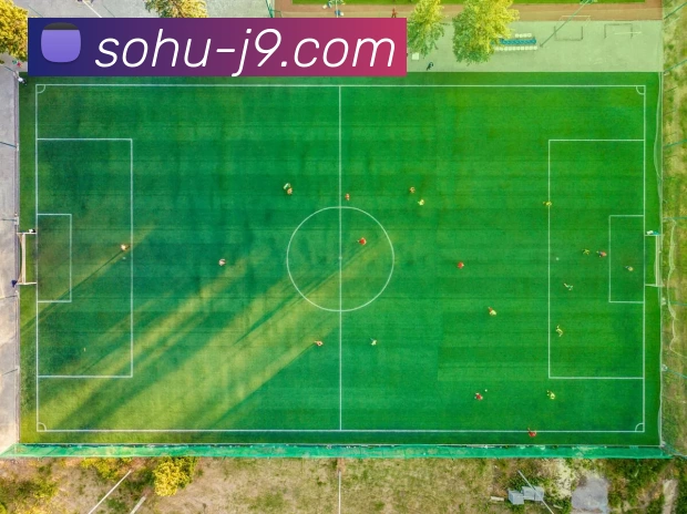 奖项证书